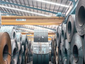 Coil/Cut Sheet